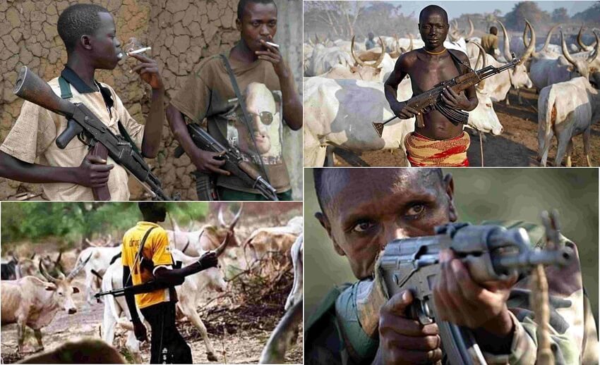 Breaking News Herdsmen attack on Iwo to Osogbo Road.
