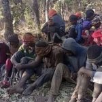 Reports Emerge of Youths Apprehending Armed Suspects in Abia Forest