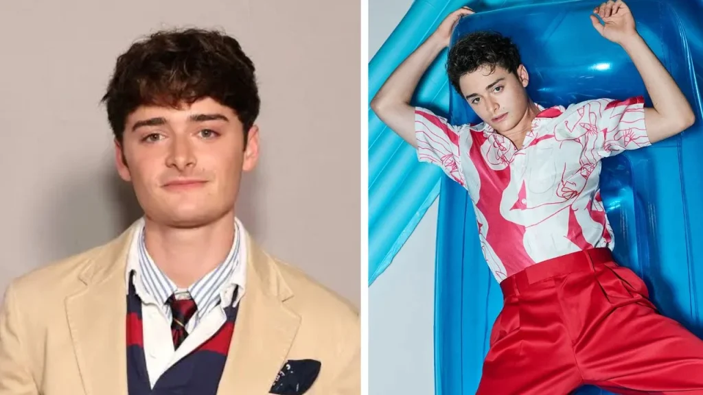 Noah Schnapp pareja actual: ¿Tiene novio en 2025? ¿Cuándo se declaró gay?