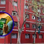 ¿Quién es Marcelo Porcel el empresario? Fotos, biografía, Wikipedia y de dónde es