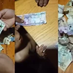 ‘Se cancelan los estrenos’: ratones le ‘comen’ los ahorros a familia hondureña