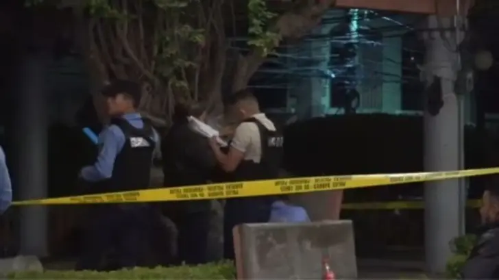 Presunto asaltante muere a disparos en el Parque Herrera de Tegucigalpa