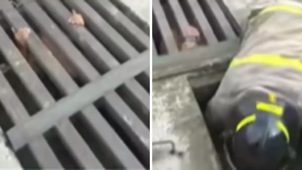 Hondureño se escondió en una alcantarilla tras ser asaltado en plena Navidad