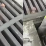 Hondureño se escondió en una alcantarilla tras ser asaltado en plena Navidad