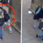 Universitaria sufre violento ataque por parte de un indigente en plena calle