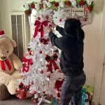 Migrantes ruegan ser ‘invisibles’ para los agentes de ICE en esta Navidad