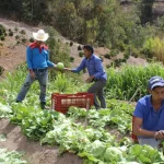 Seguridad alimentaria en Honduras: El Motor de Cambio del PMA
