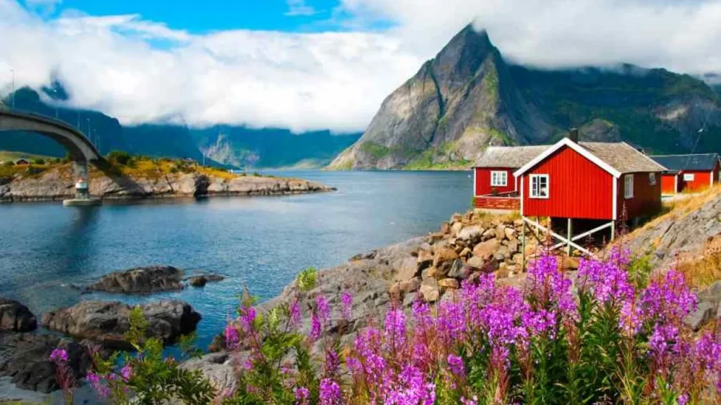Noruega abre vacantes en granjas con sueldos superiores a 3 mil euros