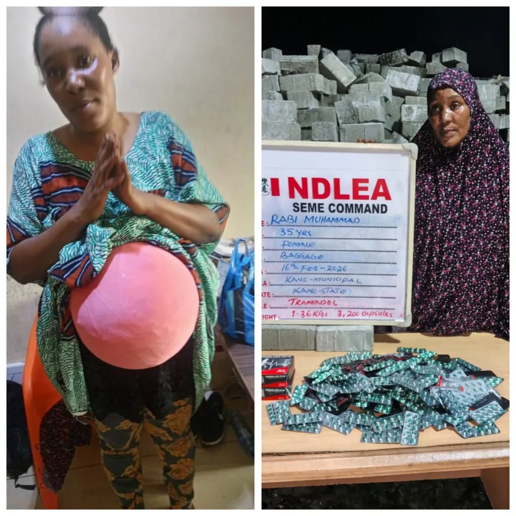 NDLEA busts Kano-based businesswoman with drugs hidden in fake pregnancy (video)
